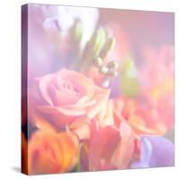 Beautiful Flowers Made with Color Filters, Floral Background-Timofeeva Maria-Stretched Canvas