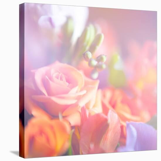 Beautiful Flowers Made with Color Filters, Floral Background-Timofeeva Maria-Stretched Canvas