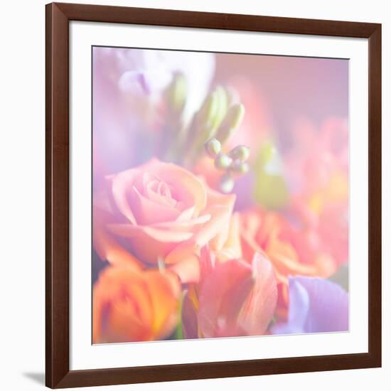 Beautiful Flowers Made with Color Filters, Floral Background-Timofeeva Maria-Framed Art Print