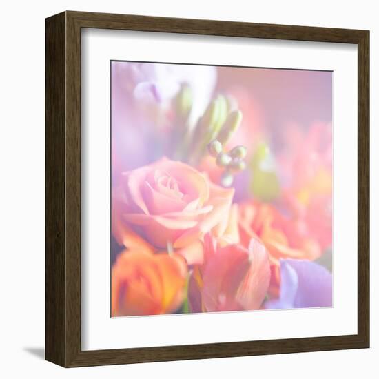 Beautiful Flowers Made with Color Filters, Floral Background-Timofeeva Maria-Framed Art Print