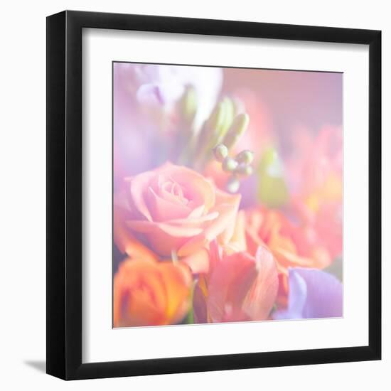 Beautiful Flowers Made with Color Filters, Floral Background-Timofeeva Maria-Framed Art Print