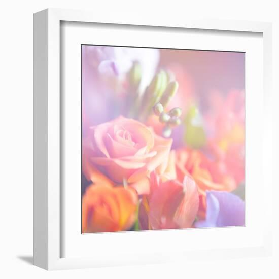 Beautiful Flowers Made with Color Filters, Floral Background-Timofeeva Maria-Framed Art Print