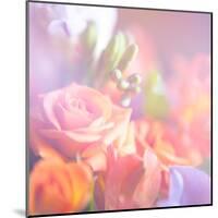 Beautiful Flowers Made with Color Filters, Floral Background-Timofeeva Maria-Mounted Art Print
