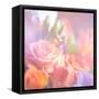 Beautiful Flowers Made with Color Filters, Floral Background-Timofeeva Maria-Framed Stretched Canvas