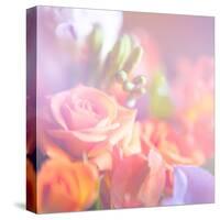 Beautiful Flowers Made with Color Filters, Floral Background-Timofeeva Maria-Stretched Canvas