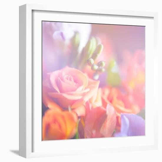 Beautiful Flowers Made with Color Filters, Floral Background-Timofeeva Maria-Framed Art Print