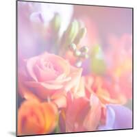 Beautiful Flowers Made with Color Filters, Floral Background-Timofeeva Maria-Mounted Premium Giclee Print