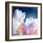 Beautiful Flowers Made with Color Filters, Floral Background-Timofeeva Maria-Framed Art Print