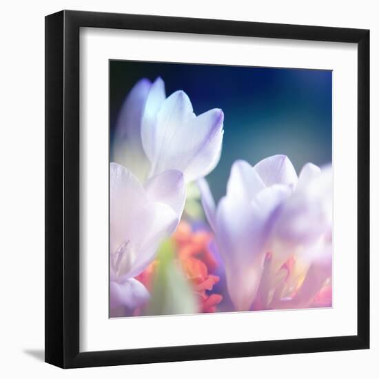 Beautiful Flowers Made with Color Filters, Floral Background-Timofeeva Maria-Framed Art Print