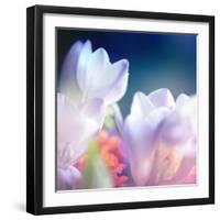 Beautiful Flowers Made with Color Filters, Floral Background-Timofeeva Maria-Framed Art Print