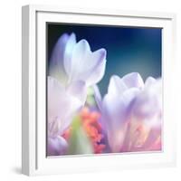 Beautiful Flowers Made with Color Filters, Floral Background-Timofeeva Maria-Framed Art Print