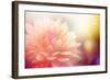 Beautiful Flowers Made with Color Filters-Timofeeva Maria-Framed Art Print