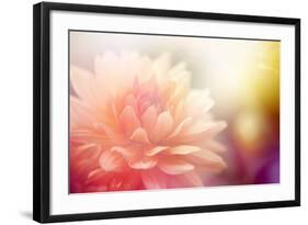 Beautiful Flowers Made with Color Filters-Timofeeva Maria-Framed Art Print