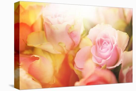 Beautiful Flowers Made with Color Filters-Timofeeva Maria-Stretched Canvas