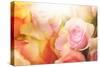 Beautiful Flowers Made with Color Filters-Timofeeva Maria-Stretched Canvas