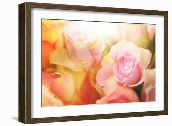 Beautiful Flowers Made with Color Filters-Timofeeva Maria-Framed Premium Photographic Print