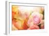 Beautiful Flowers Made with Color Filters-Timofeeva Maria-Framed Premium Photographic Print