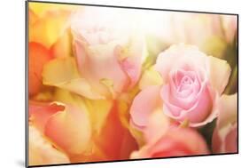 Beautiful Flowers Made with Color Filters-Timofeeva Maria-Mounted Premium Photographic Print