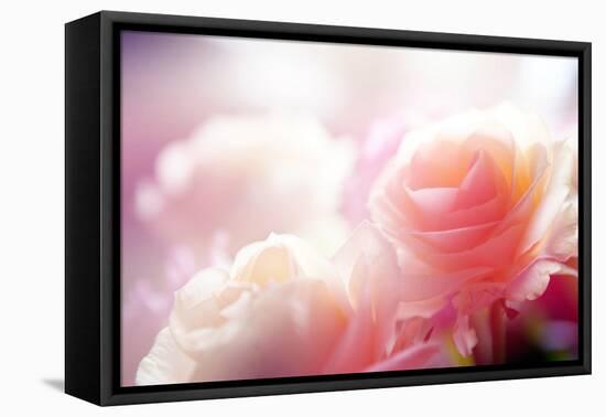 Beautiful Flowers Made with Color Filters-Timofeeva Maria-Framed Stretched Canvas