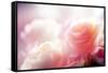 Beautiful Flowers Made with Color Filters-Timofeeva Maria-Framed Stretched Canvas