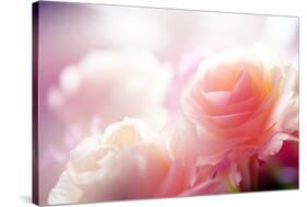 Beautiful Flowers Made with Color Filters-Timofeeva Maria-Stretched Canvas