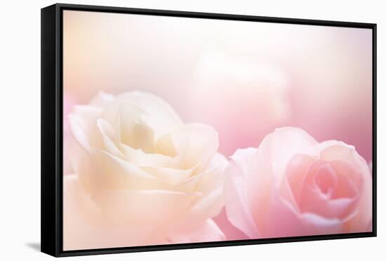 Beautiful Flowers Made with Color Filters-Timofeeva Maria-Framed Stretched Canvas