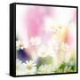 Beautiful Flowers Made with Color Filters-Timofeeva Maria-Framed Stretched Canvas