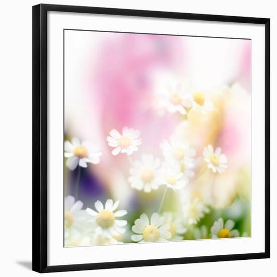 Beautiful Flowers Made with Color Filters-Timofeeva Maria-Framed Photographic Print