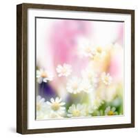 Beautiful Flowers Made with Color Filters-Timofeeva Maria-Framed Photographic Print