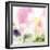 Beautiful Flowers Made with Color Filters-Timofeeva Maria-Framed Photographic Print