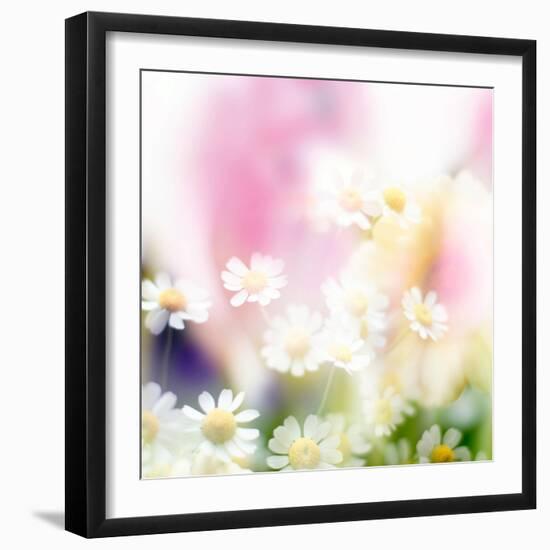 Beautiful Flowers Made with Color Filters-Timofeeva Maria-Framed Photographic Print