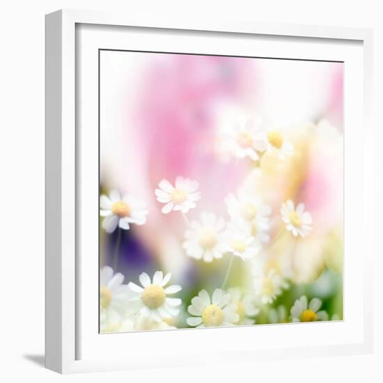 Beautiful Flowers Made with Color Filters-Timofeeva Maria-Framed Photographic Print