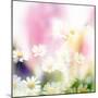 Beautiful Flowers Made with Color Filters-Timofeeva Maria-Mounted Photographic Print