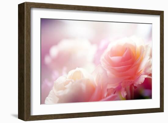 Beautiful Flowers Made with Color Filters-Timofeeva Maria-Framed Photographic Print