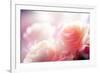 Beautiful Flowers Made with Color Filters-Timofeeva Maria-Framed Photographic Print