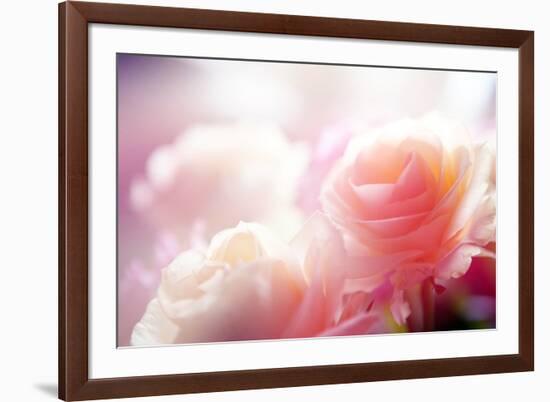 Beautiful Flowers Made with Color Filters-Timofeeva Maria-Framed Photographic Print