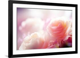 Beautiful Flowers Made with Color Filters-Timofeeva Maria-Framed Photographic Print