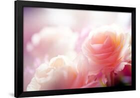 Beautiful Flowers Made with Color Filters-Timofeeva Maria-Framed Photographic Print