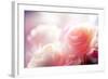 Beautiful Flowers Made with Color Filters-Timofeeva Maria-Framed Photographic Print