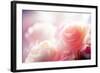 Beautiful Flowers Made with Color Filters-Timofeeva Maria-Framed Photographic Print