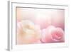 Beautiful Flowers Made with Color Filters-Timofeeva Maria-Framed Photographic Print