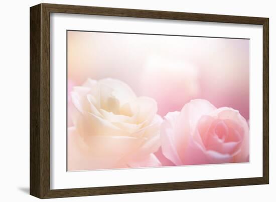 Beautiful Flowers Made with Color Filters-Timofeeva Maria-Framed Photographic Print