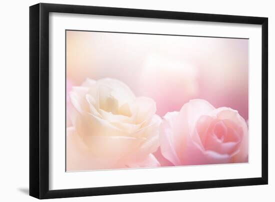 Beautiful Flowers Made with Color Filters-Timofeeva Maria-Framed Photographic Print