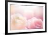 Beautiful Flowers Made with Color Filters-Timofeeva Maria-Framed Photographic Print