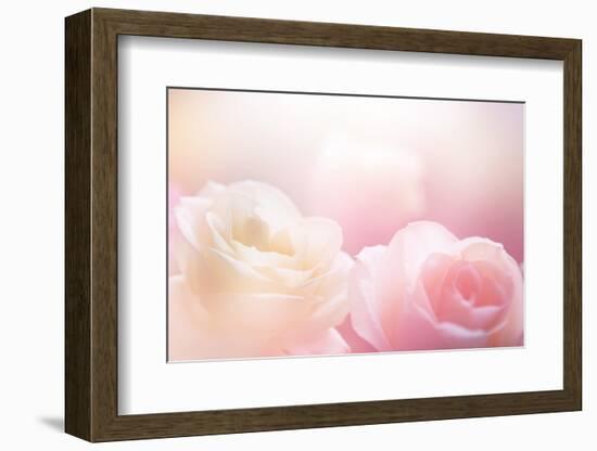 Beautiful Flowers Made with Color Filters-Timofeeva Maria-Framed Photographic Print