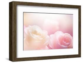 Beautiful Flowers Made with Color Filters-Timofeeva Maria-Framed Photographic Print