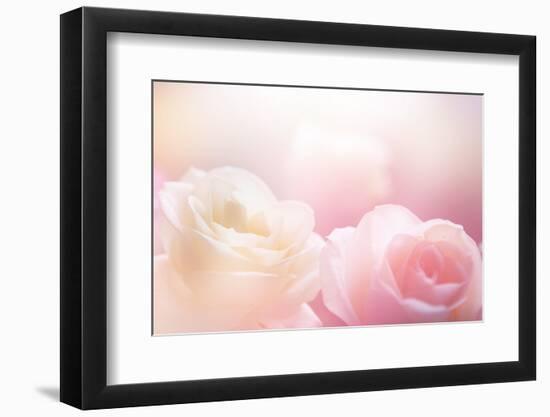 Beautiful Flowers Made with Color Filters-Timofeeva Maria-Framed Photographic Print