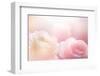 Beautiful Flowers Made with Color Filters-Timofeeva Maria-Framed Photographic Print