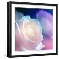 Beautiful Flowers Made with Color Filters-Timofeeva Maria-Framed Photographic Print