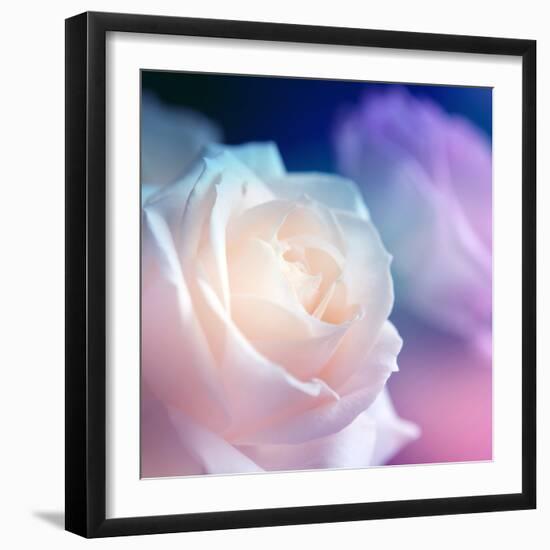 Beautiful Flowers Made with Color Filters-Timofeeva Maria-Framed Photographic Print